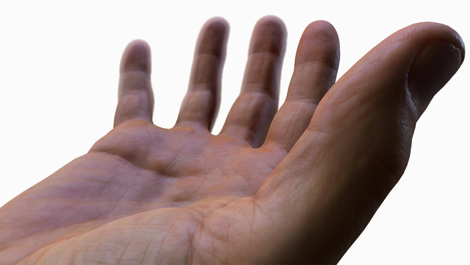 Male 3D Hand Model